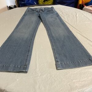 Hydraulic Medium Blue Flare Wide-Leg Jeans